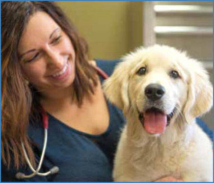 Click Here To Buy Pet Health Products