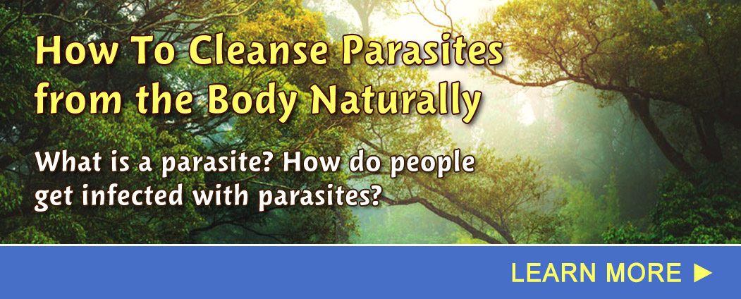 natural parasite cleanse