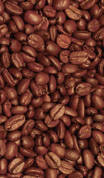 Coffee Enema Instructions & Made-for-Enema Coffee