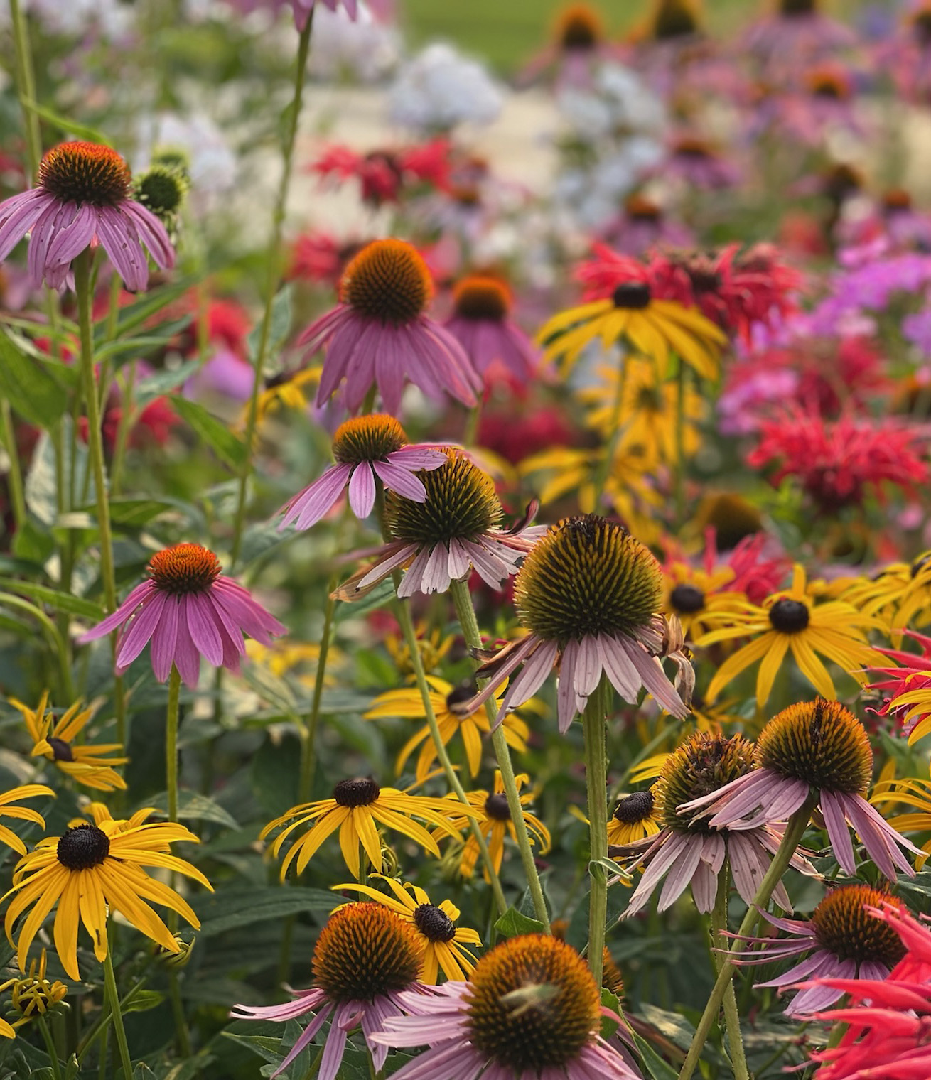 garden bliss