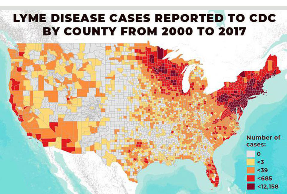 Lyme Disease Cases 2000-2017