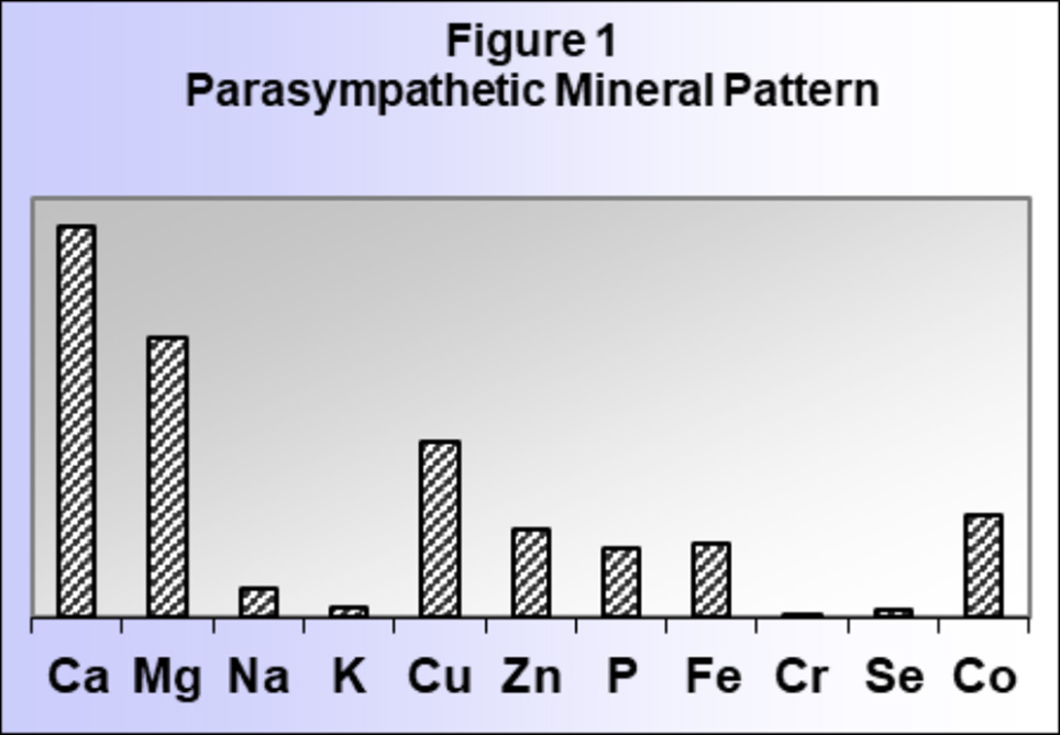 parasympathetic mineral pattern