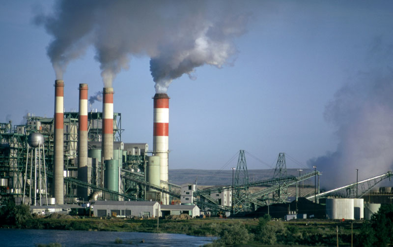 prostate environmental toxins