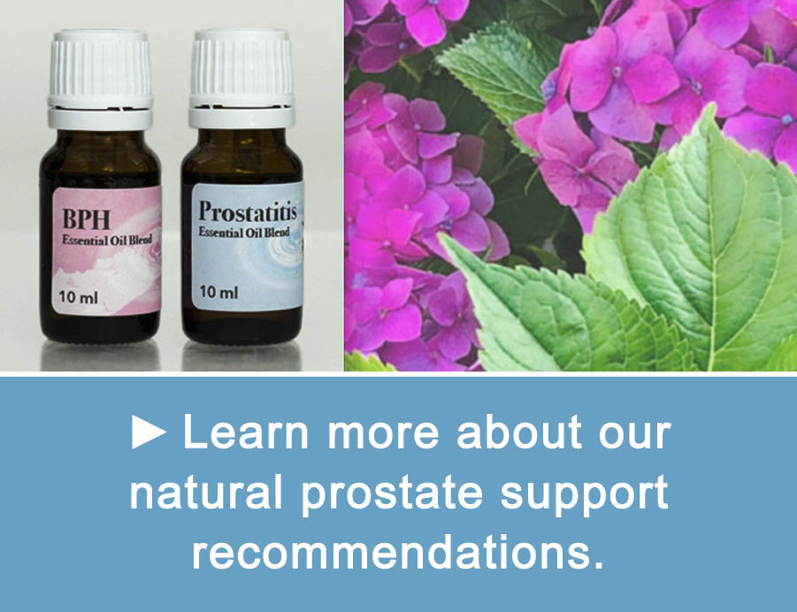 prostate support products