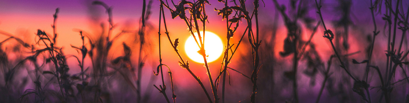 sun silhouette