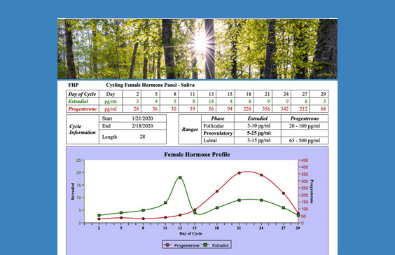 cycling female hormone panel