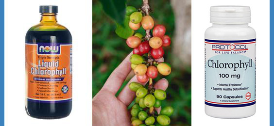 Chlorophyll for Coffee Enemas