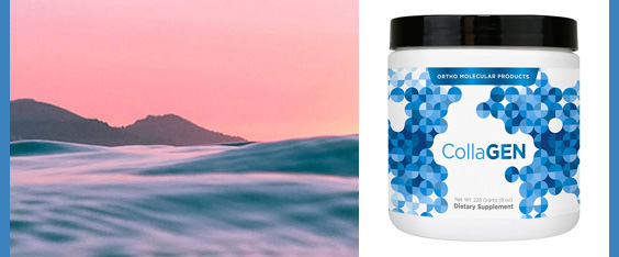 CollaGEN Powder