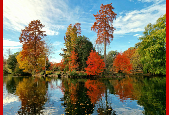 reflections