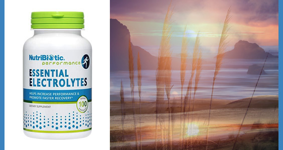 essential electrolytes
