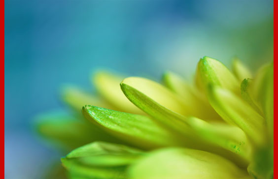 springtime