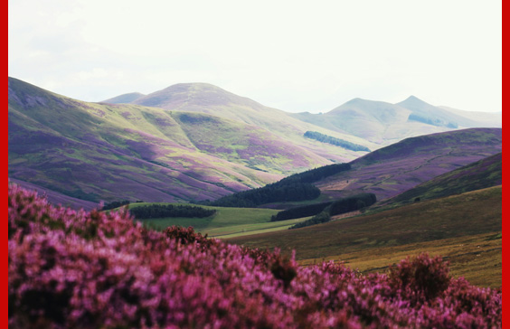 royal valley