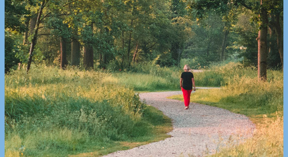walking path